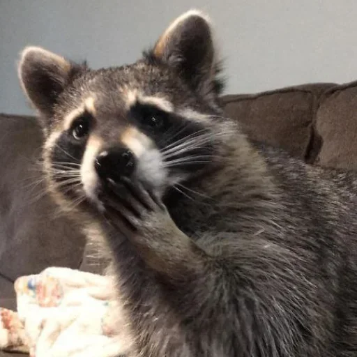 NZZYVVAAKS_by_stikeri_stikeri_bot 15