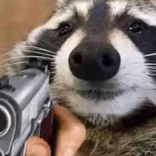 NZZYVVAAKS_by_stikeri_stikeri_bot 17