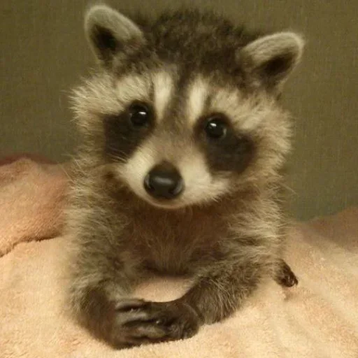 NZZYVVAAKS_by_stikeri_stikeri_bot 20