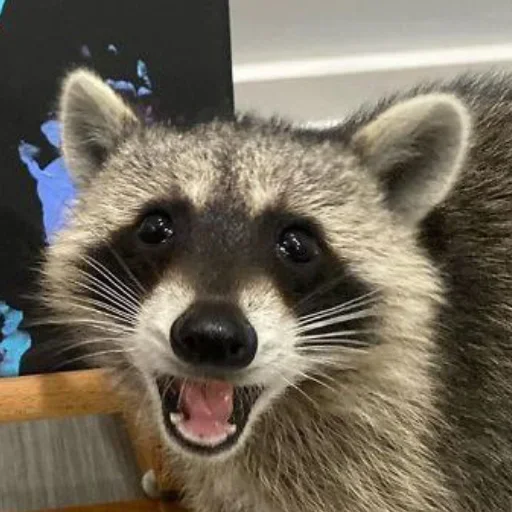 NZZYVVAAKS_by_stikeri_stikeri_bot 21