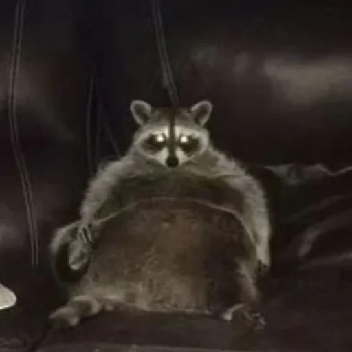 NZZYVVAAKS_by_stikeri_stikeri_bot 30