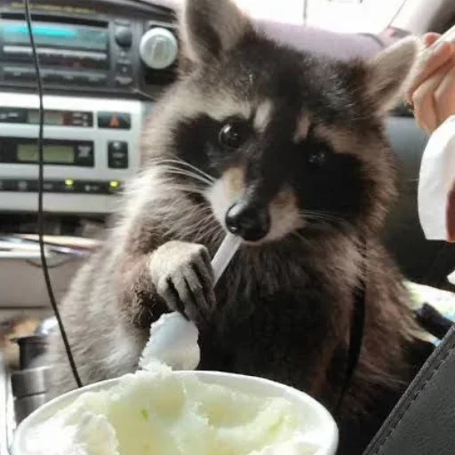 NZZYVVAAKS_by_stikeri_stikeri_bot 32