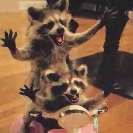 NZZYVVAAKS_by_stikeri_stikeri_bot 33