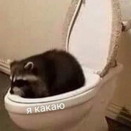 NZZYVVAAKS_by_stikeri_stikeri_bot 34