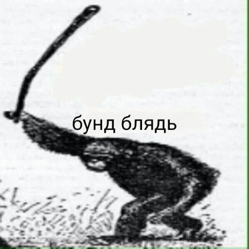 Oleg_halya 8