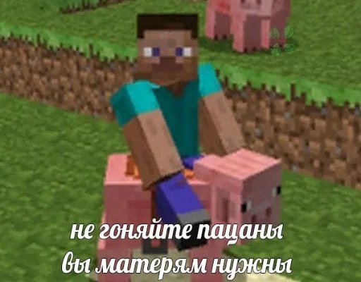 Oleg_halya 11