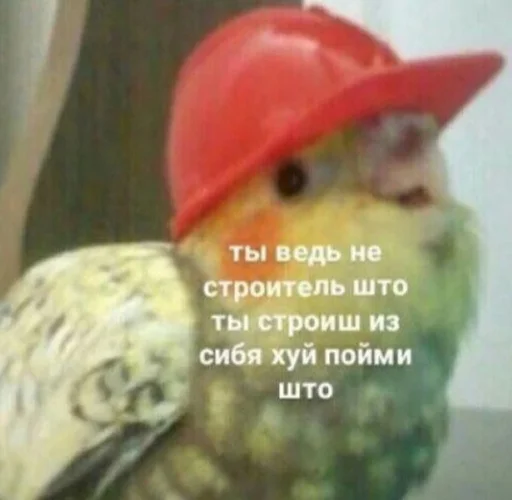 Oleg_halya 18