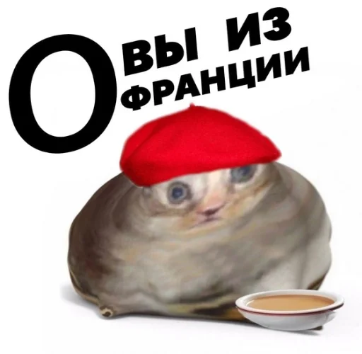 Oleg_halya 21