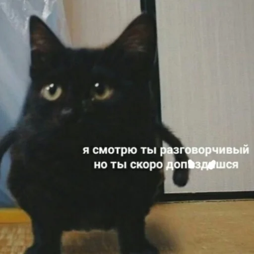 Oleg_halya 23