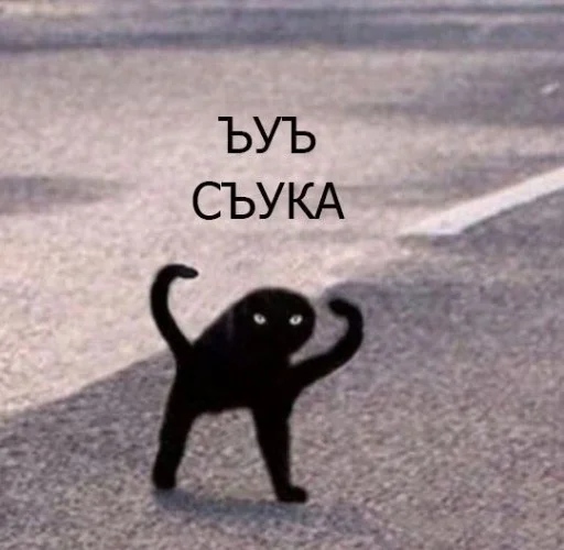 Oleg_halya 30