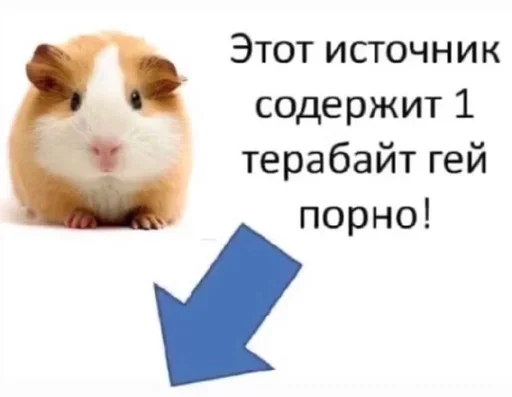 PAULOJYSWE_by_stikeri_stikeri_bot 21