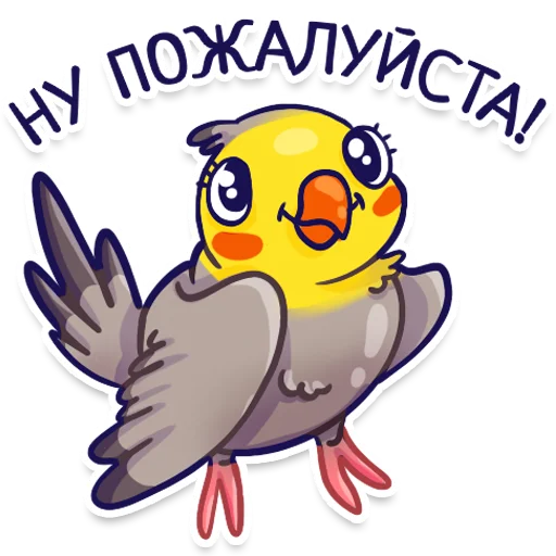 Parrot_stickers 4