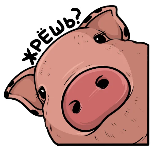 Plupapig 11