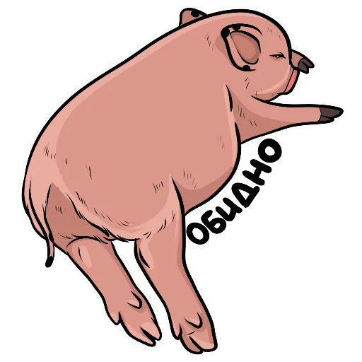 Plupapig 18