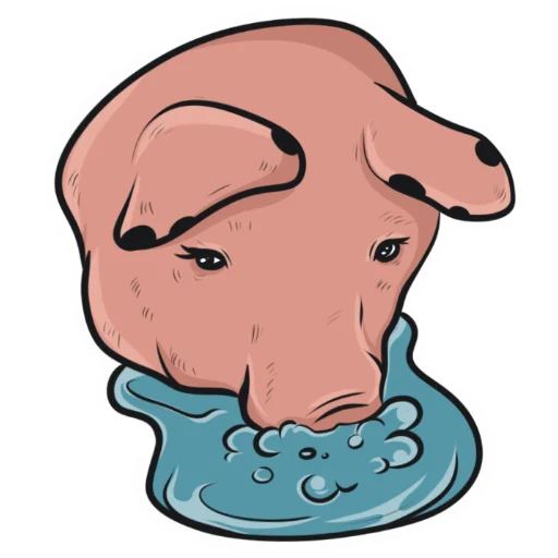 Plupapig 21