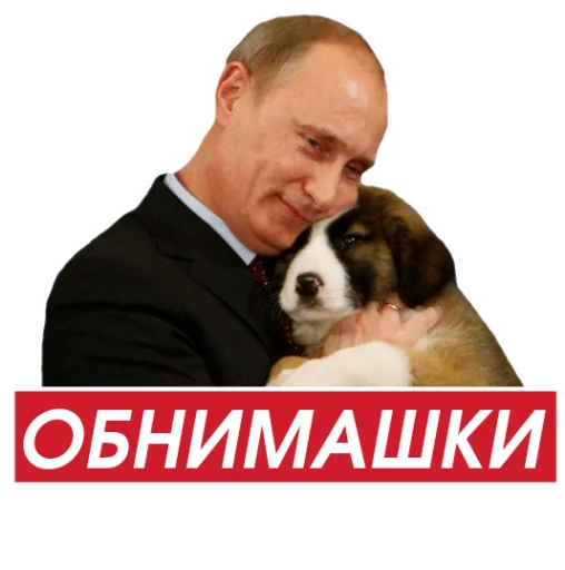 Putins 11