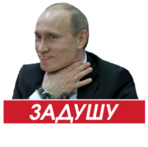 Putins 12