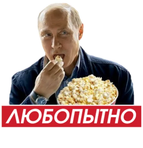 Putins 14