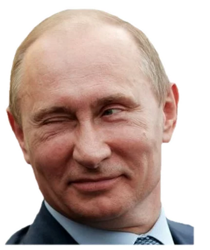 Putins 17