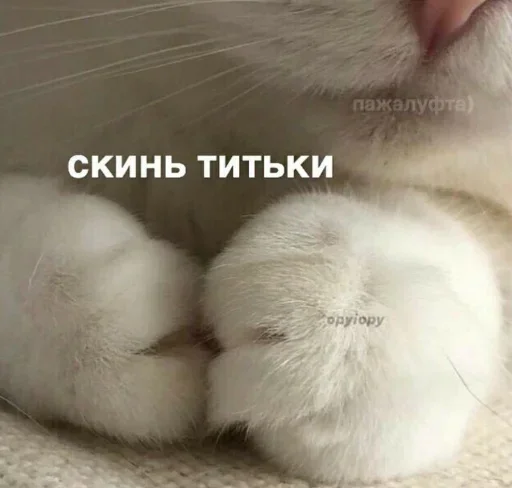 QQZMSWDPGB_by_stikeri_stikeri_bot 7