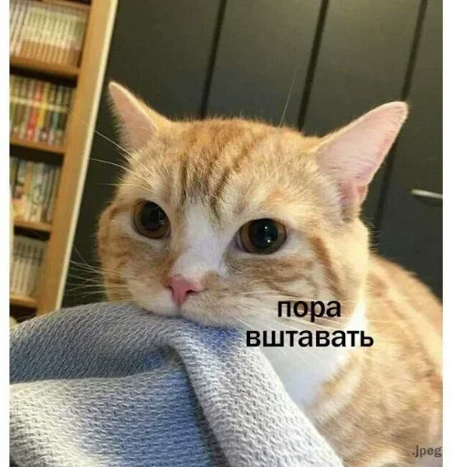 QQZMSWDPGB_by_stikeri_stikeri_bot 8