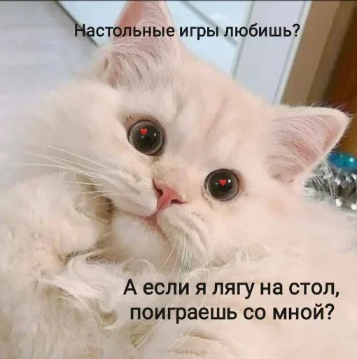 QQZMSWDPGB_by_stikeri_stikeri_bot 9