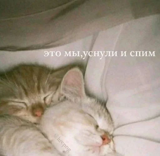 QQZMSWDPGB_by_stikeri_stikeri_bot 10