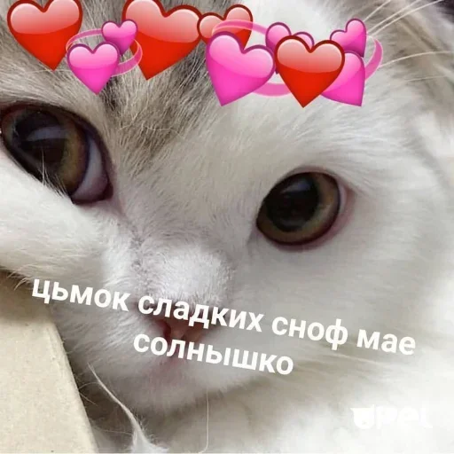 QQZMSWDPGB_by_stikeri_stikeri_bot 11