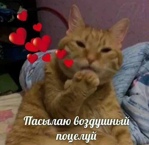 QQZMSWDPGB_by_stikeri_stikeri_bot 16