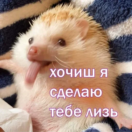 QQZMSWDPGB_by_stikeri_stikeri_bot 18