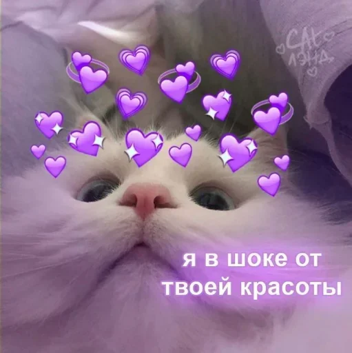 QQZMSWDPGB_by_stikeri_stikeri_bot 19