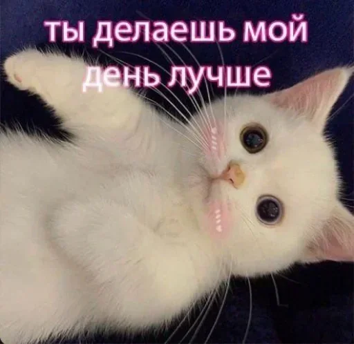 QQZMSWDPGB_by_stikeri_stikeri_bot 22