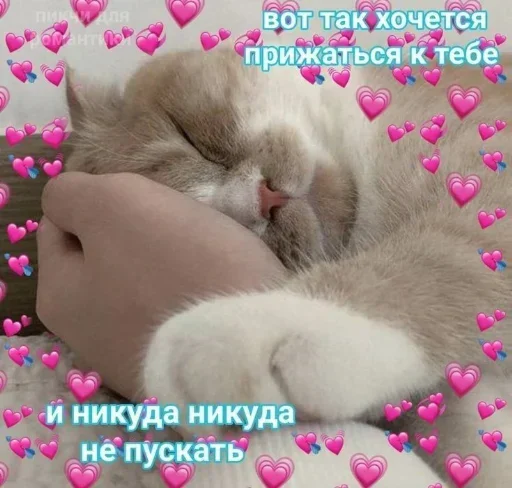 QQZMSWDPGB_by_stikeri_stikeri_bot 24