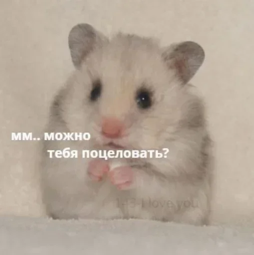 QQZMSWDPGB_by_stikeri_stikeri_bot 27