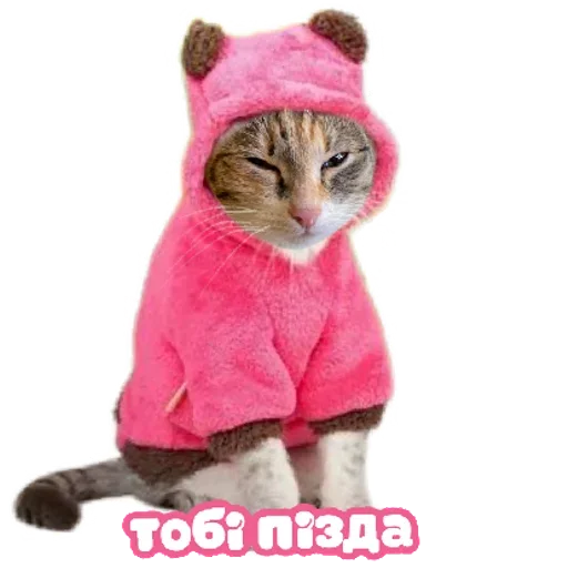 RZSVUDLBGD_by_stikeri_stikeri_bot 14