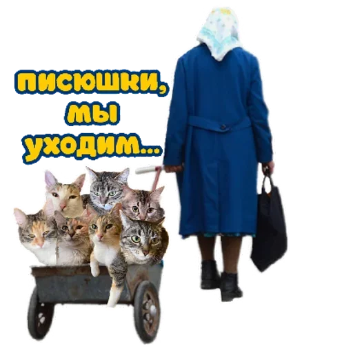 RZSVUDLBGD_by_stikeri_stikeri_bot 22