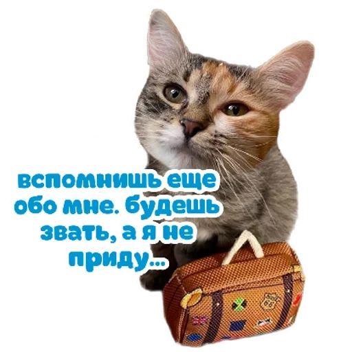 RZSVUDLBGD_by_stikeri_stikeri_bot 23