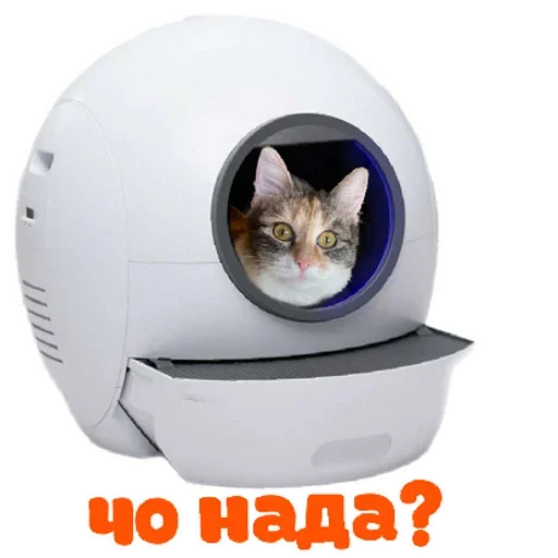 RZSVUDLBGD_by_stikeri_stikeri_bot 24
