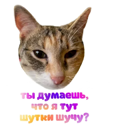 RZSVUDLBGD_by_stikeri_stikeri_bot 26