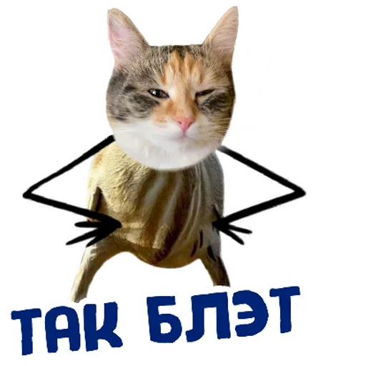 RZSVUDLBGD_by_stikeri_stikeri_bot 27