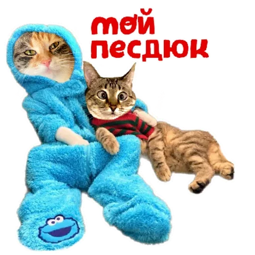 RZSVUDLBGD_by_stikeri_stikeri_bot 30