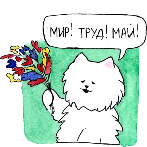 Samoyed_Moscow 5