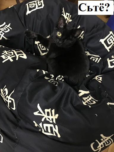 SonyaZolotoiGlazik 13