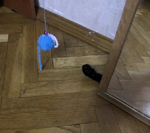 SonyaZolotoiGlazik 14