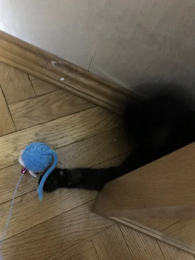 SonyaZolotoiGlazik 15