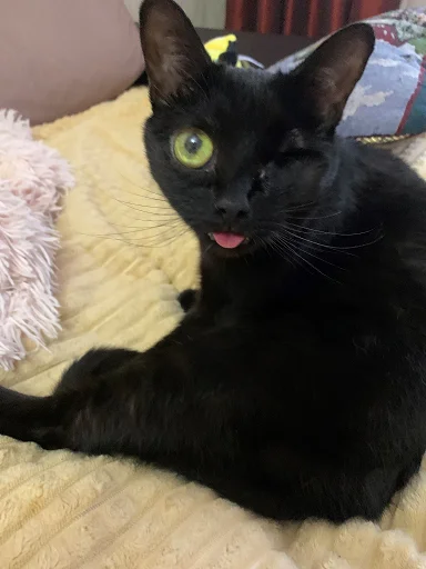 SonyaZolotoiGlazik 17