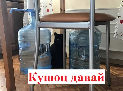 SonyaZolotoiGlazik 18