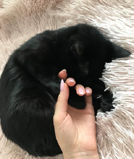 SonyaZolotoiGlazik 20