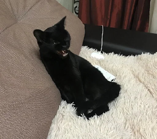 SonyaZolotoiGlazik 21