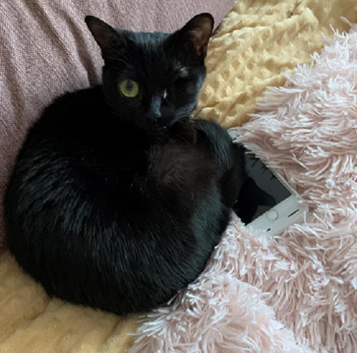 SonyaZolotoiGlazik 22